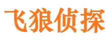 公安婚外情调查